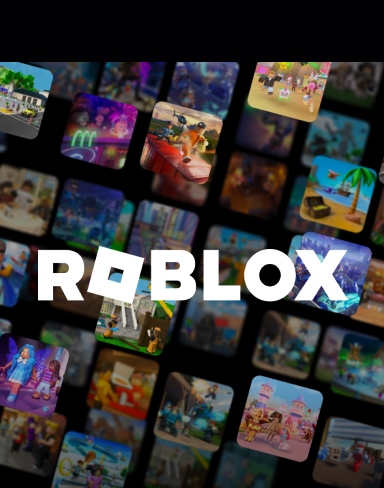 Roblox Guide